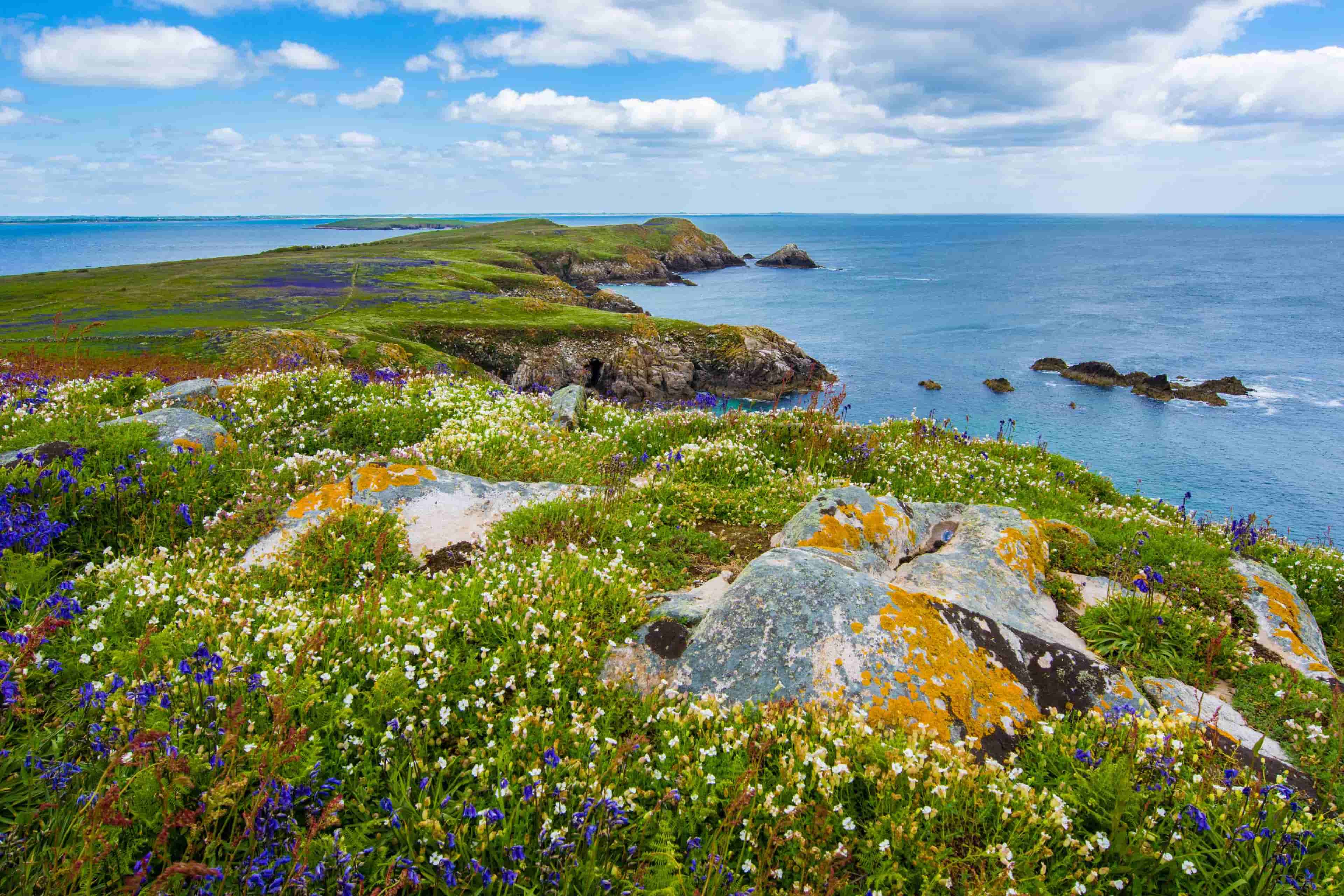 Easter Monday in Ireland